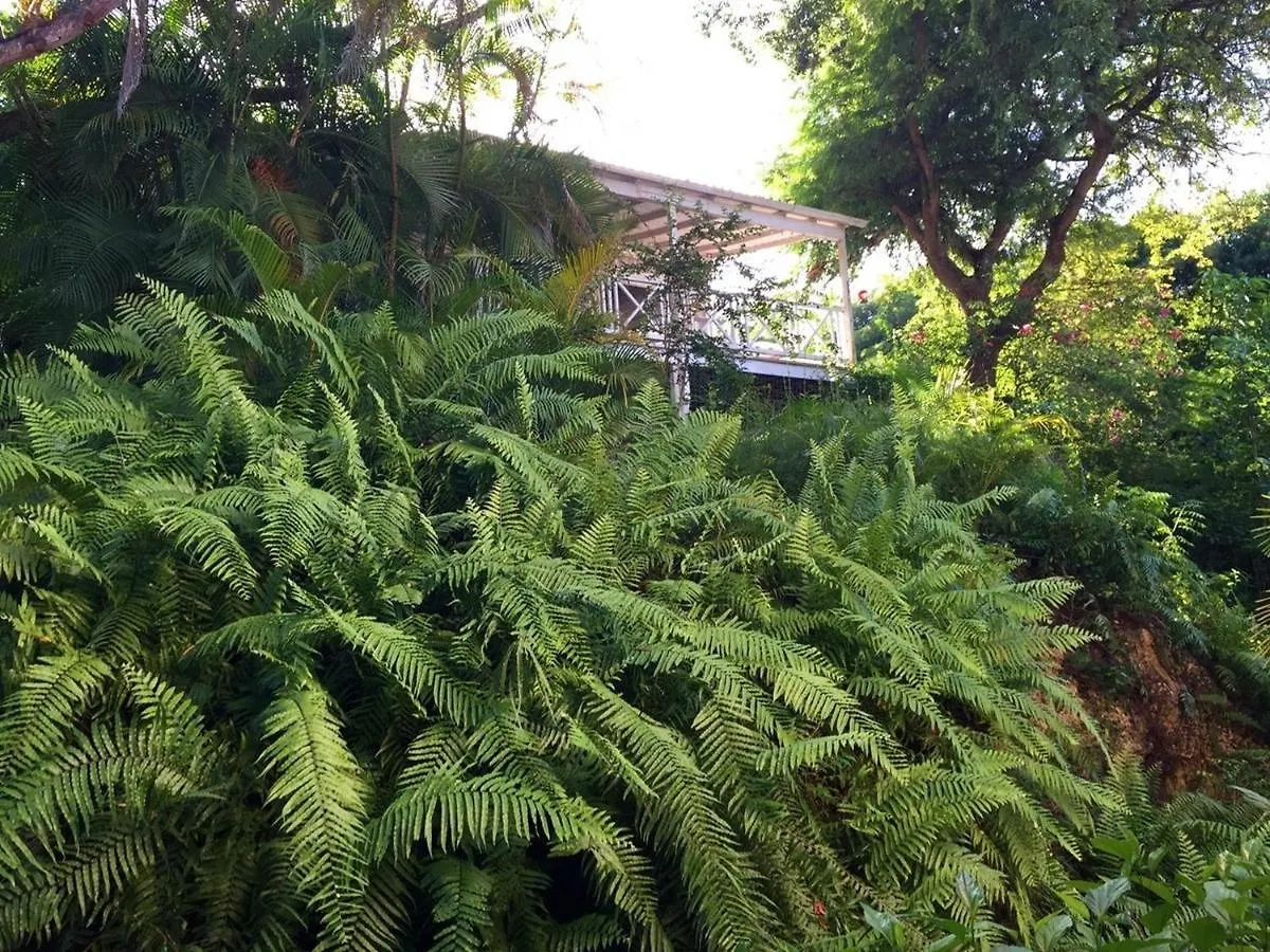 펜션 Tamarind Cottage By Bsl Rentals 세인트 제임스