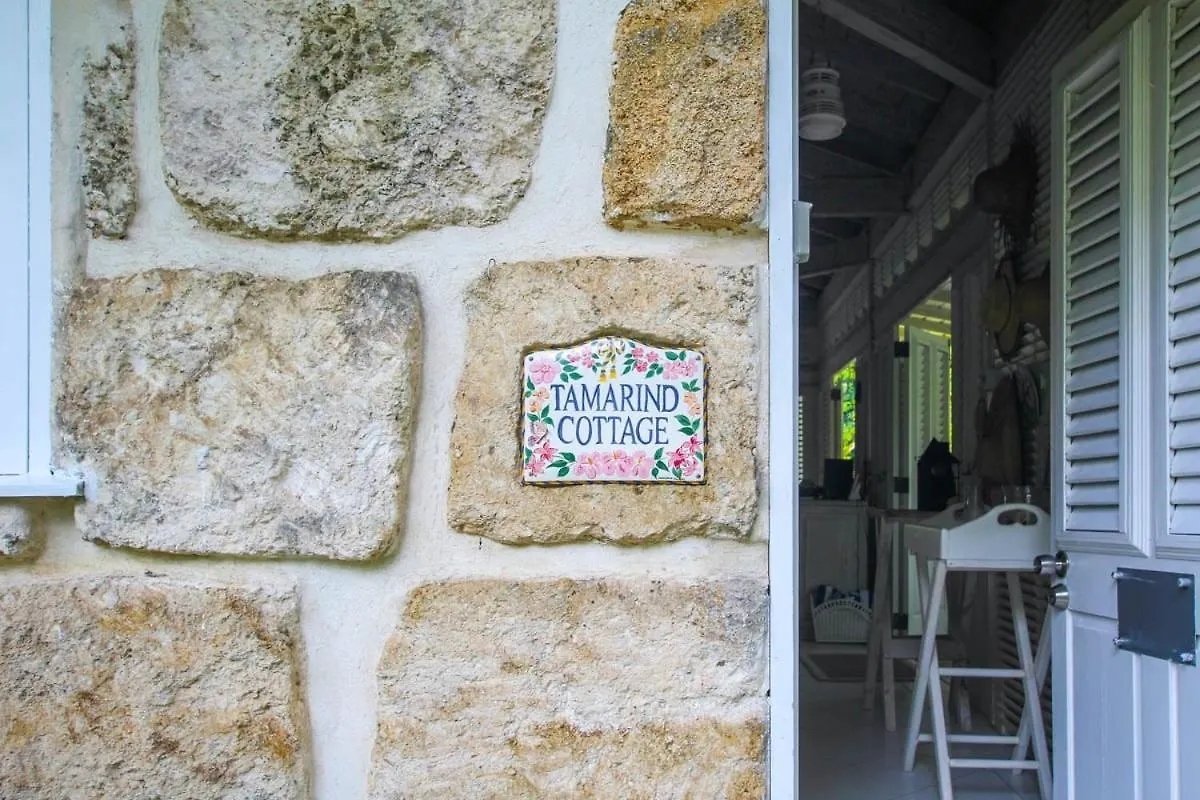 Tamarind Cottage By Bsl Rentals 세인트 제임스 바베이도스